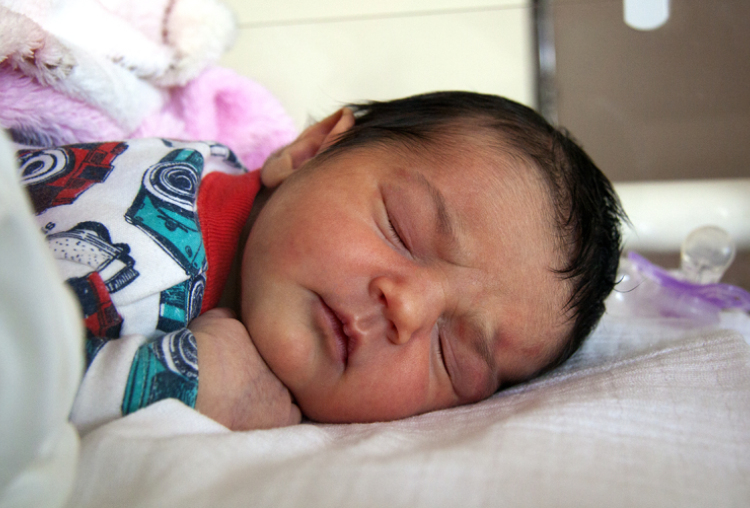 Horváth Bori, Enese