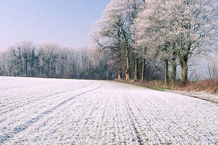 Agrometeorológia: kedvező a hó a növények számára