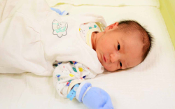 Kiss Dominik, Halászi