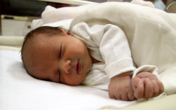 Tóth Luca Karolina, Mosonmagyaróvár