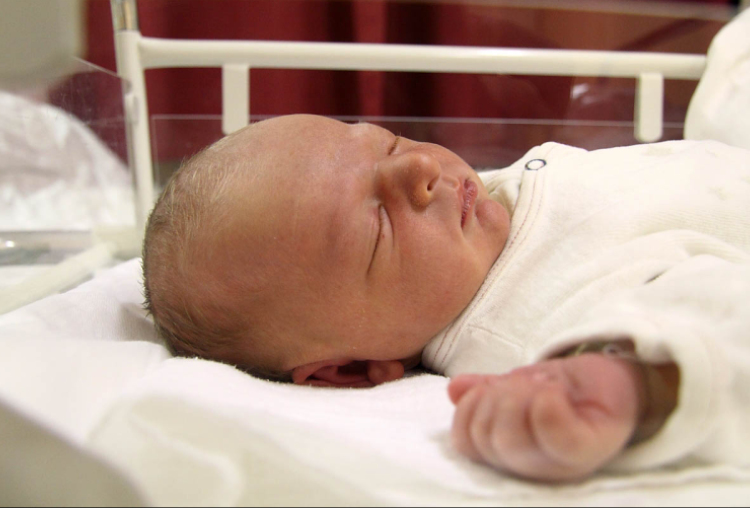 Papp Dominik, Kapuvár