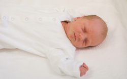 Szarka-Bella Nándor, Darnózseli