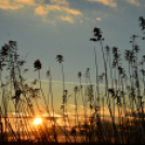 Bánhegyi Photography - Szigetköz képekben