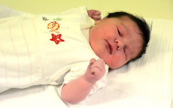 Bodó Mirella Zselyke, Mosonmagyaróvár