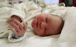 Markó Nola, Mosonmagyaróvár