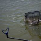 Jótékonysági horgászverseny a mosonmagyaróvári Hospice házért