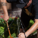 IV. Lébényi Ízőrző Nap