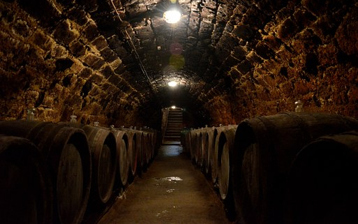 Az ősz egyik veszélye a mustgáz - előzzük meg a baleseteket