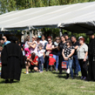 Szigetközi gulyahajtás 2018