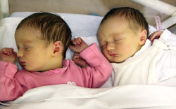 Rozs Mirabella, Rozs Levente, Bősárkány