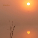 Tilai Gergely online fotókiállítása - díjnyertes képekkel