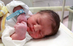 Kanczler Tamás Benett, Mosonmagyaróvár