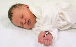 Nagy Luca, Mosonmagyaróvár