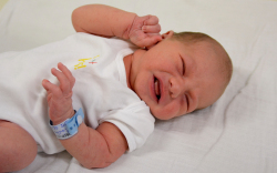 Móritz Gergő, Csorna