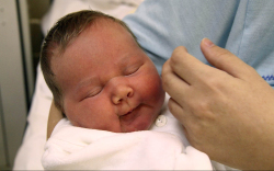 Elek Abigél, Mosonmagyaróvár