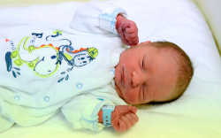 Kulacs István Gergő, Máriakálnok