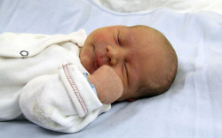 Makai Aurél, Jánossomorja