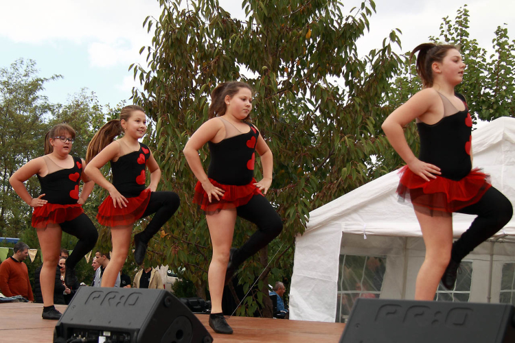 Szigetköz Lelke Pálinkaház - Családi program és a IV. bérfőzetői pálinkaverseny eredményhirdetése 