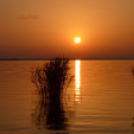 Tilai Gergely online fotókiállítása - díjnyertes képekkel