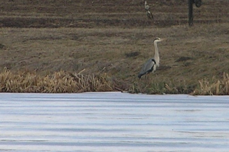 Hegyeshalomban járt a tavasz
