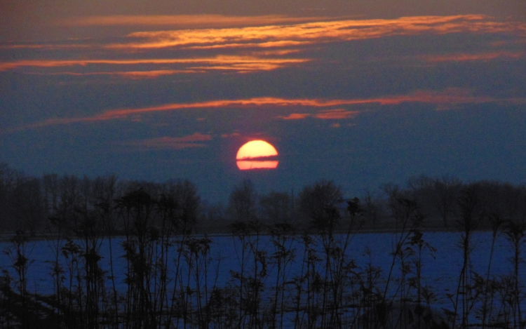 Küzdelem a sártengerben - Kalandozások a Szigetközben 7. rész