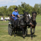 10.  Sajtos-Réti fogathajtó verseny 