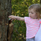 Húsvéti ráhangolódás Máriakálnokon