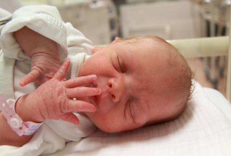 Szalai Virág Eszter, Kapuvár