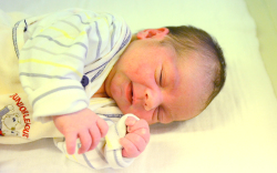 Kausics Tamara, Jánossomorja