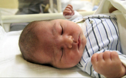 Szabó Lehel, Hegyeshalom