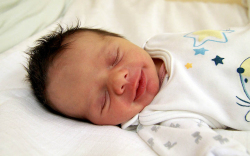 Petrekovits Dávid Tibor, Máriakálnok