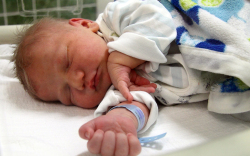 Kovács Milán Zalán, Bágyogszovát