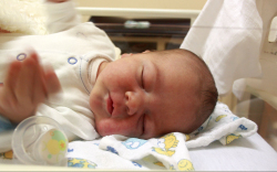 Kis Kornél Levente, Csorna