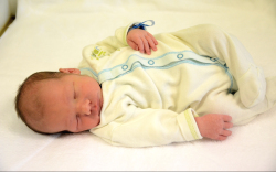 Stróbl Botond Vilmos, Darnózseli