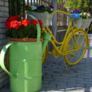 Bánhegyi Photography - Szigetköz képekben