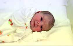 Fábián-Nagy Janka, Csorna