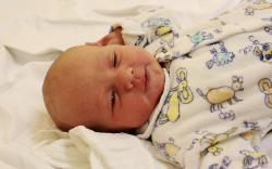 Szabó Buti Zoltán, Levél