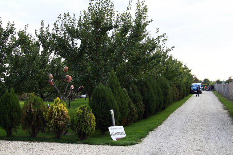 Szigetköz Lelke Pálinkaház - Családi program és a IV. bérfőzetői pálinkaverseny eredményhirdetése 