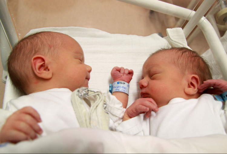 Lenzsér Gergő, Lenzsér Áron, Bősárkány