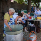 IV. Lébényi Ízőrző Nap