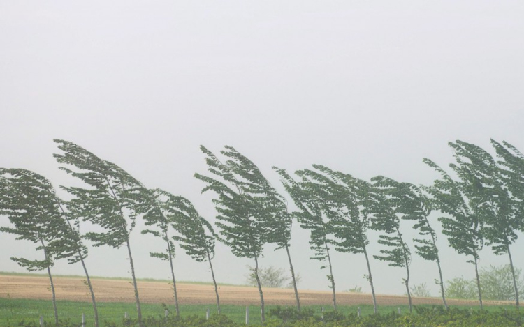 Riasztás országszerte az erős szél miatt