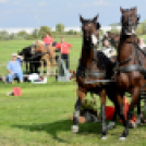 10.  Sajtos-Réti fogathajtó verseny 