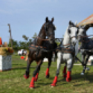 10.  Sajtos-Réti fogathajtó verseny 