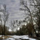 Bánhegyi Photography - Szigetköz képekben