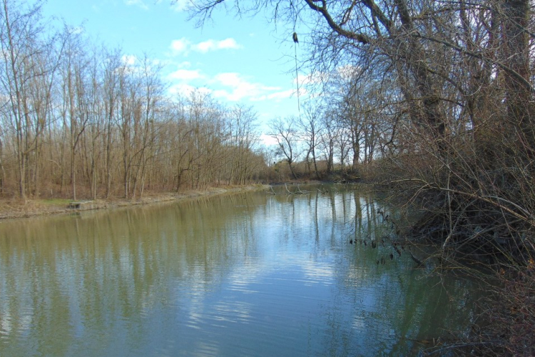 Útszéli vadon - Kalandozások a Szigetközben 5. rész