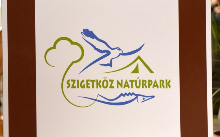 Szívünk egy ritmusra csobban