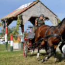 10.  Sajtos-Réti fogathajtó verseny 