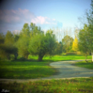 Őszi képek a Szigetközben