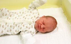 Nyéki Levente, Mosonmagyaróvár