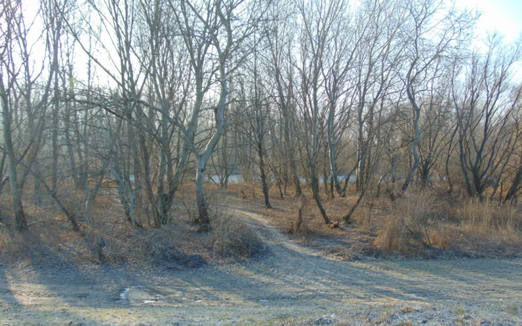 Szigetköz, ahol a természet mosolyog...